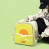 pet carrier large dog
