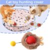 Rechargeable Electric Indoor Interactive Cat Toy Kitten Motion-Activated Hide Seek Toy with Plastic Hiding Cover Ex (3)